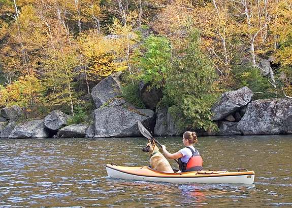 Load image into Gallery viewer, Swift Adirondack 12