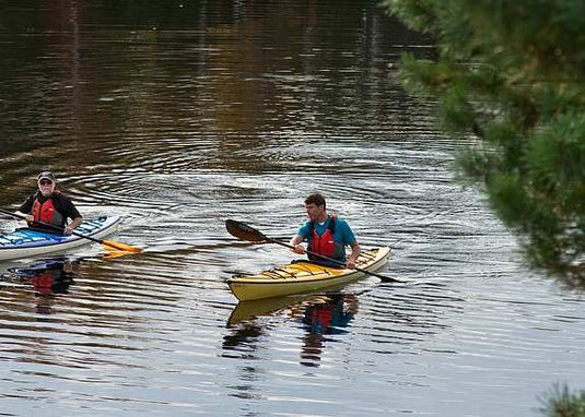 Swift Saranac 15
