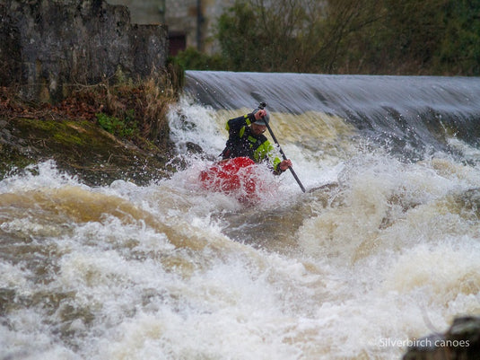 Silverbirch Agent 88