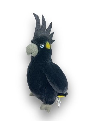 ECO YELLOW TAILED BLACK COCKATOO
