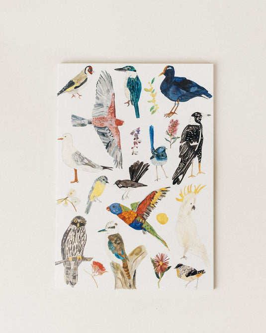 Birds Notebooks
