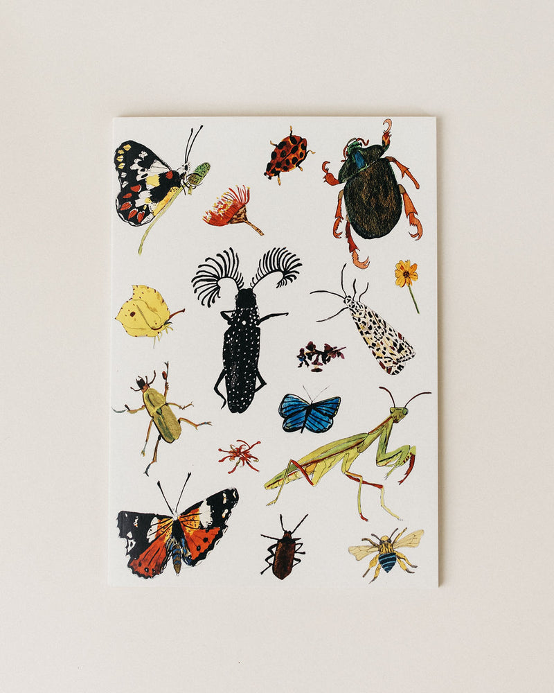 Load image into Gallery viewer, Insect Sticker Sheets
