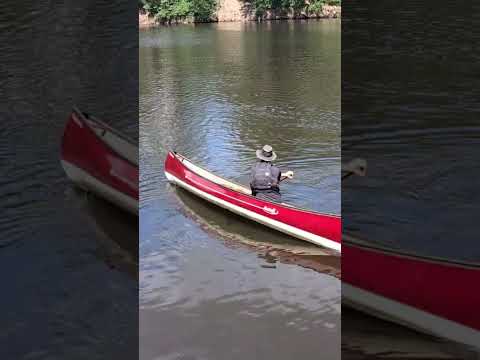 Load and play video in Gallery viewer, Swift Prospector 16
