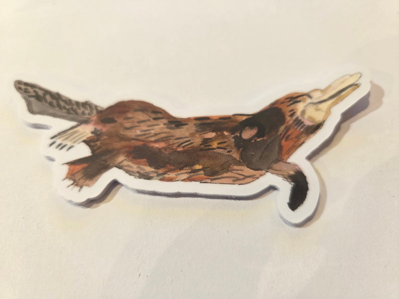 Load image into Gallery viewer, Australian Flora and Fauna - Single Stickers
