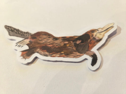 Australian Flora and Fauna - Single Stickers