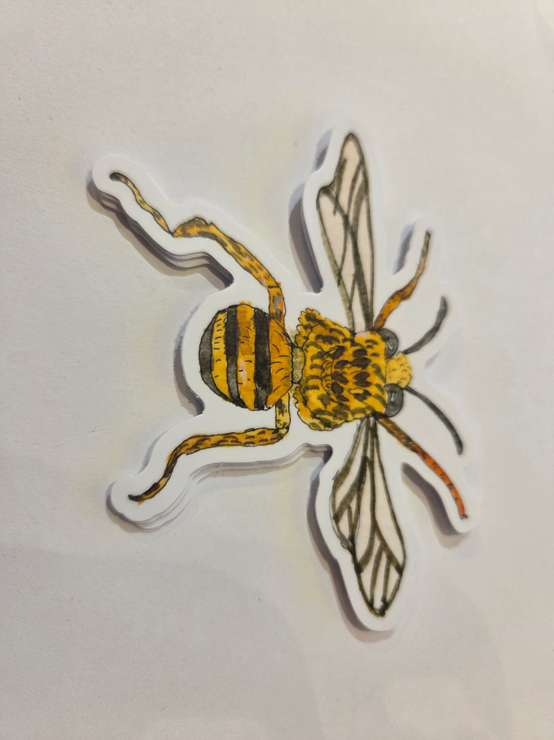 Load image into Gallery viewer, Australian Flora and Fauna - Single Stickers
